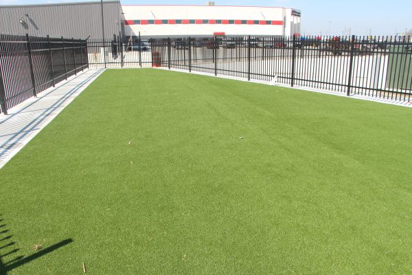Dog Park