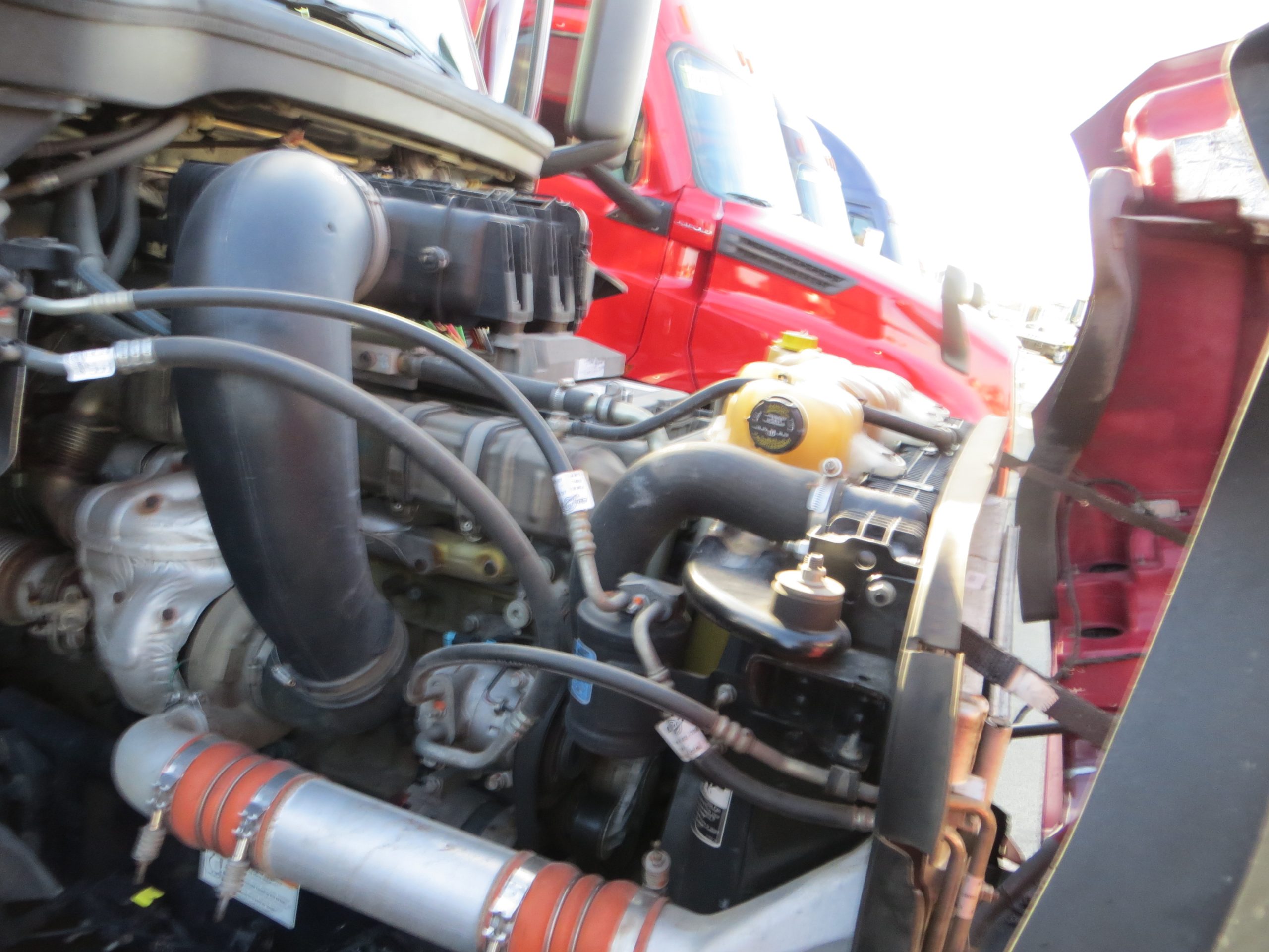 2021 Freightliner PT126 068PM00000WSzz4 2021 Freightliner PT126 068PM00000WSzz4