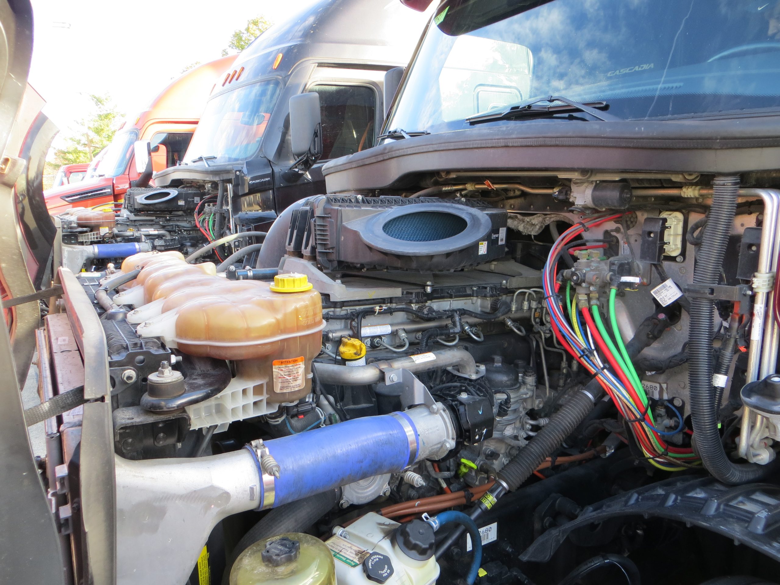2021 Freightliner PT126 068PM00000WT1T6 2021 Freightliner PT126 068PM00000WT1T6