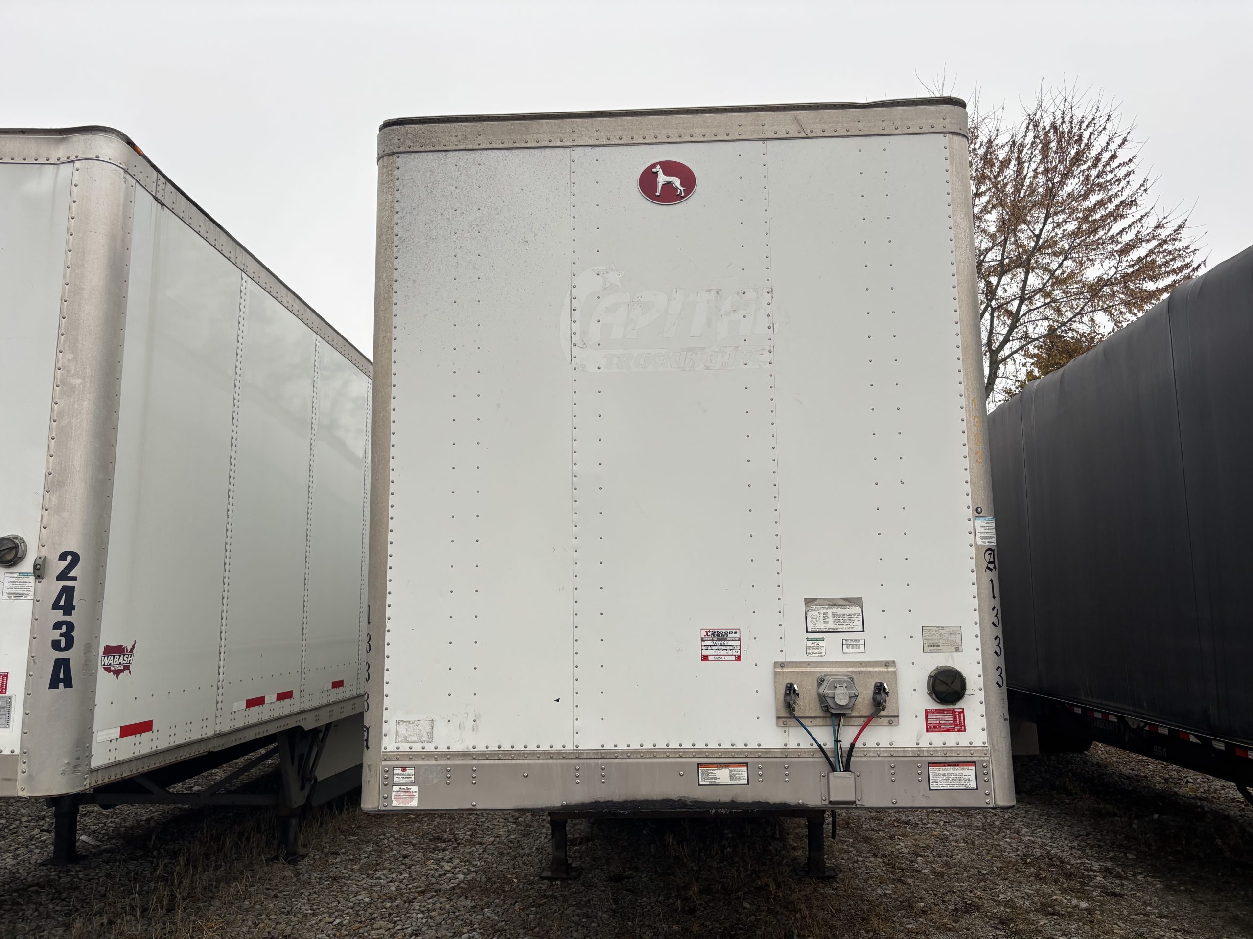 2019 Great Dane COMPOSITE 2019 Great Dane COMPOSITE - image 3 of 6