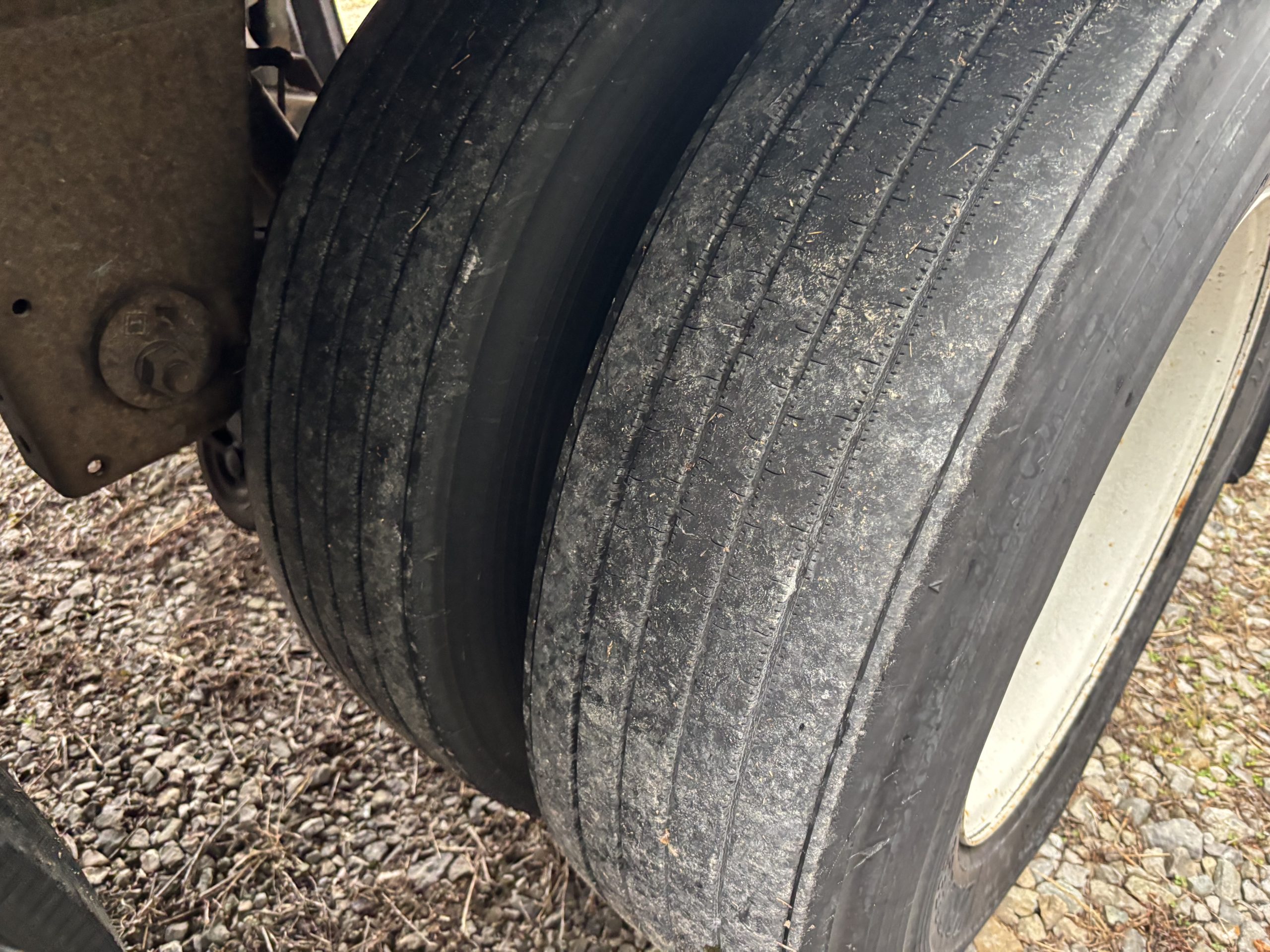 2019 Great Dane COMPOSITE 2019 Great Dane COMPOSITE - image 1 of 6