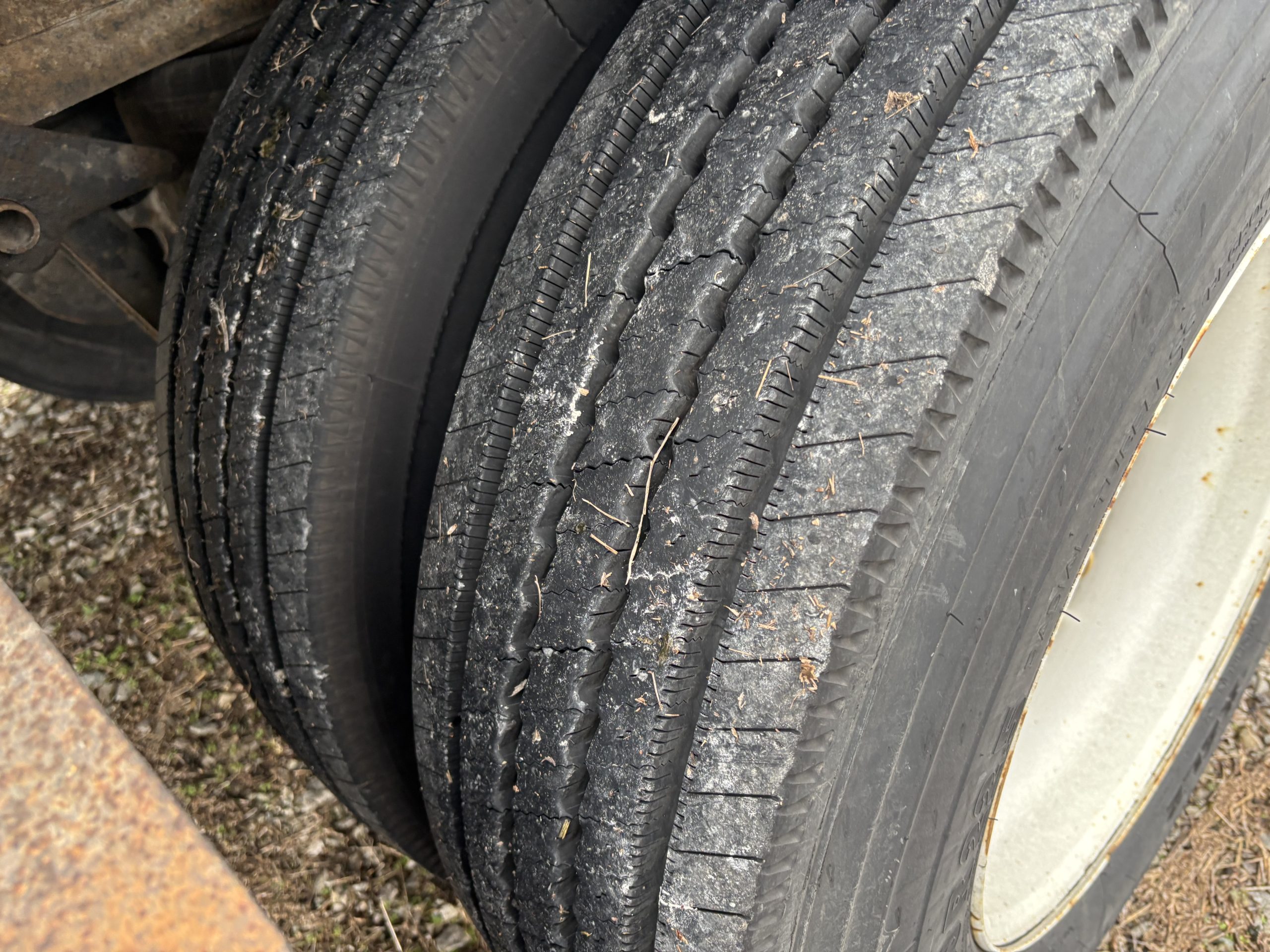 2019 Great Dane COMPOSITE 2019 Great Dane COMPOSITE - image 2 of 6